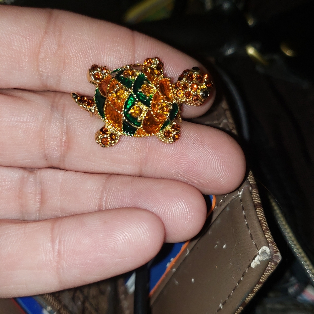 Turtle pin